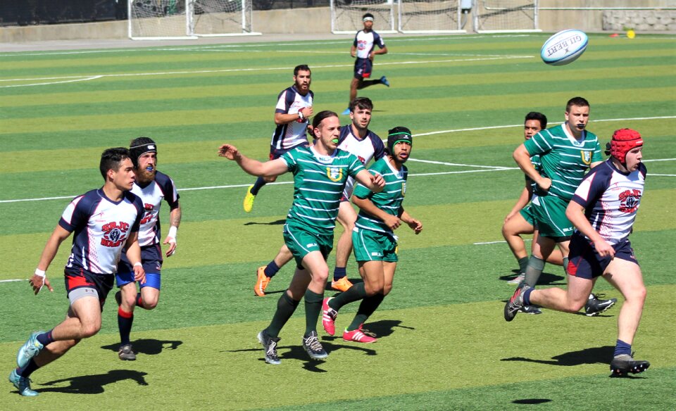 Team sports sports green team