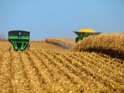 Agriculture corn machine photo