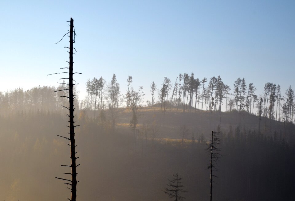 The jeseníky mountains landscape wood