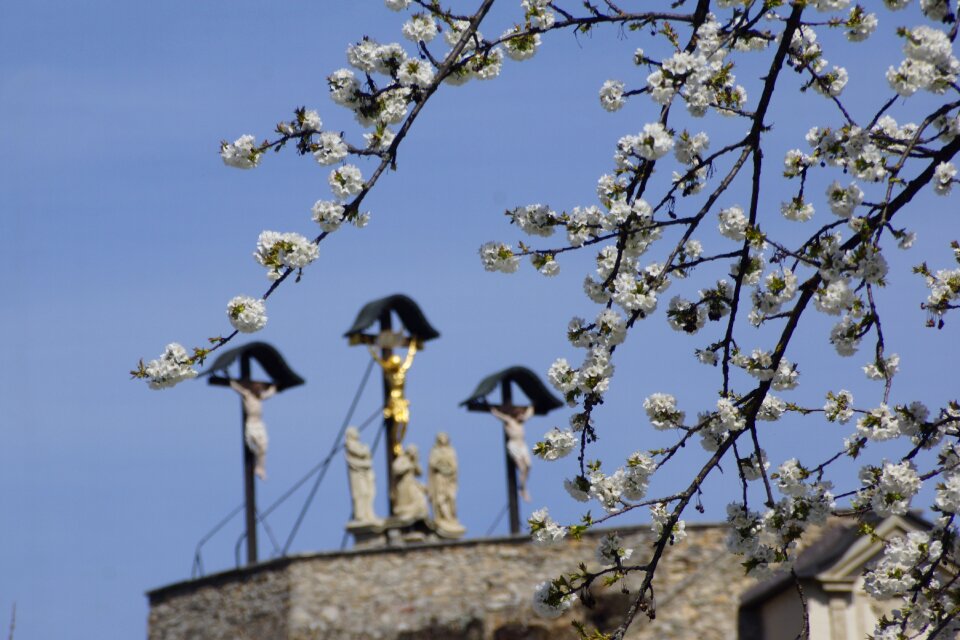Flowers crosses christianity