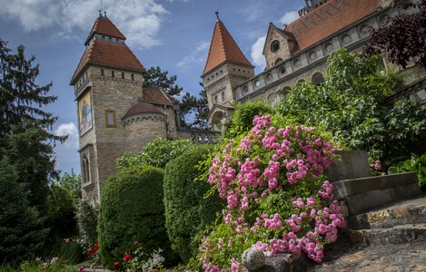 Rose architectural castle