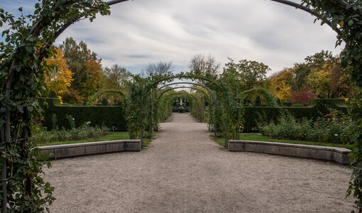 Landscape rest autumn photo