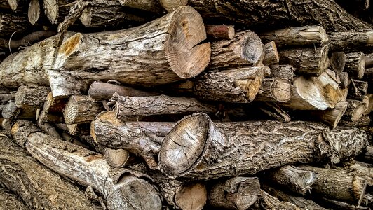 Bunch of wood dry