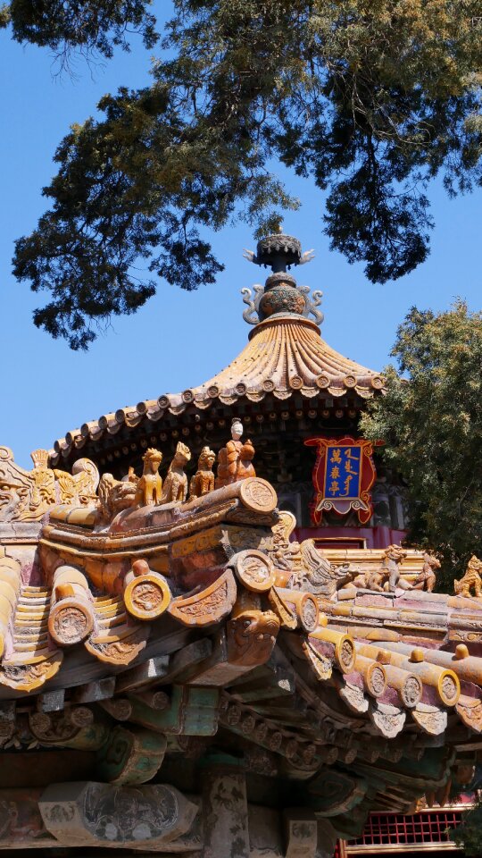 Roof palace architecture