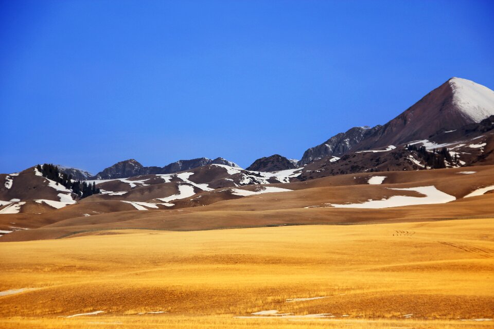 Snow mountain autumn gold photo