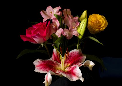 Floral bunch bloom