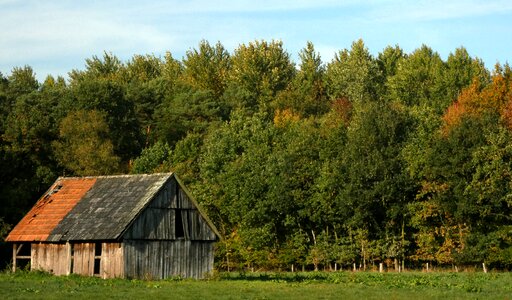 Scale barn forest photo