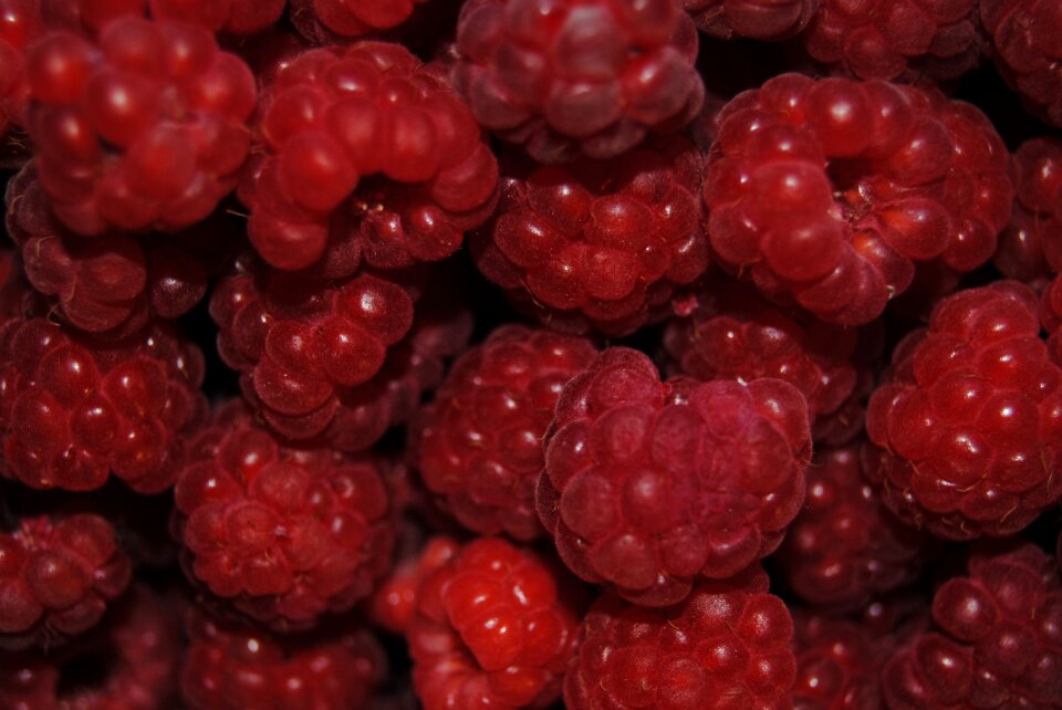 Fruit summer delicious