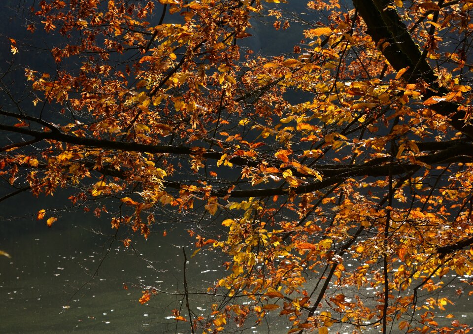 Fall color colorful sunset