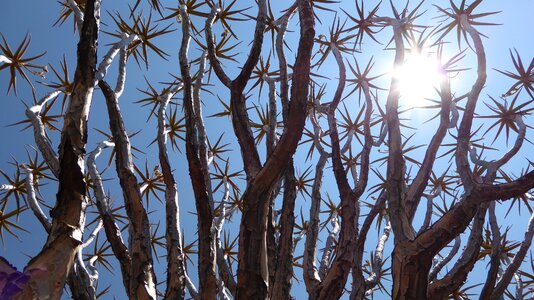 Sky nature desert