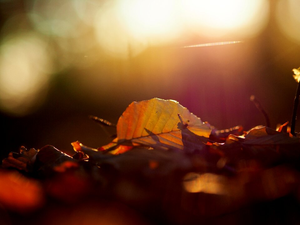 Color colorful bright