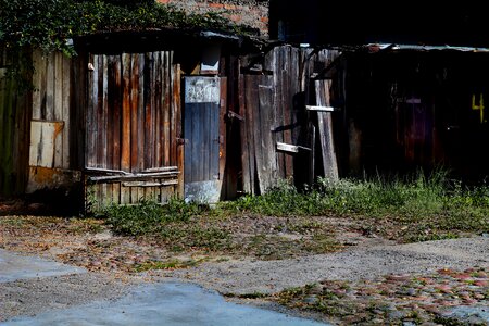 Basements backyard warts photo