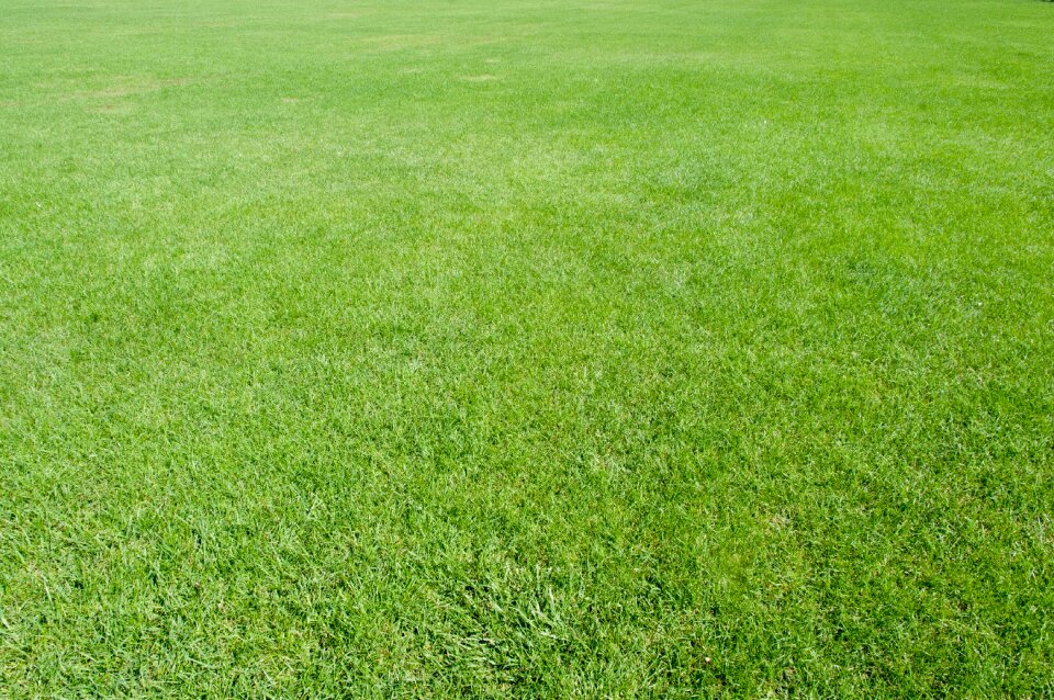 Landscape pattern texture