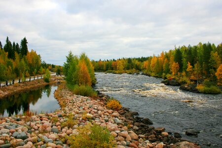 Fall colors colors water photo