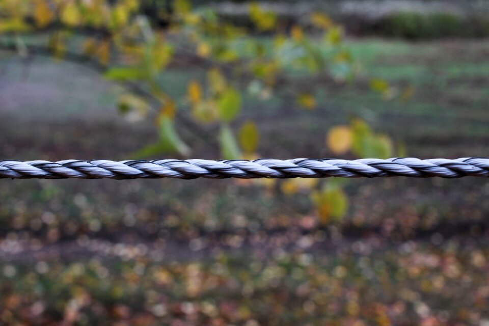 Autumn current power fence