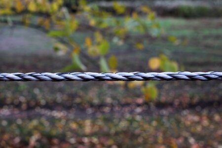 Autumn current power fence photo