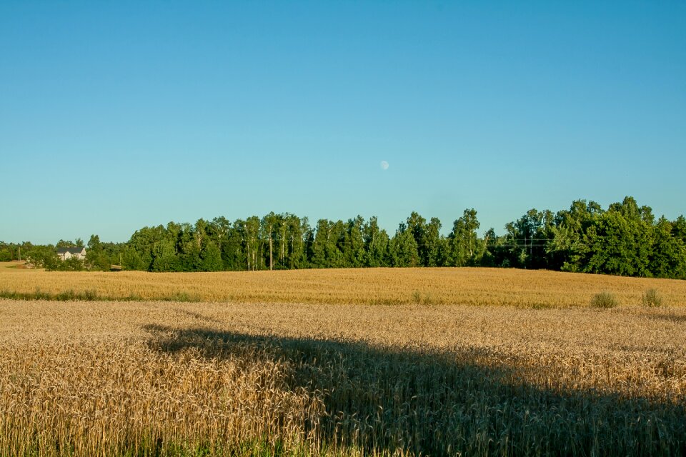 Nature field village