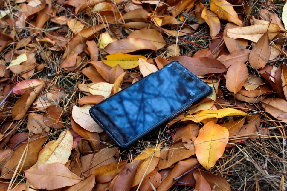 Technology phone leaves
