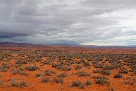 Landscape desert
