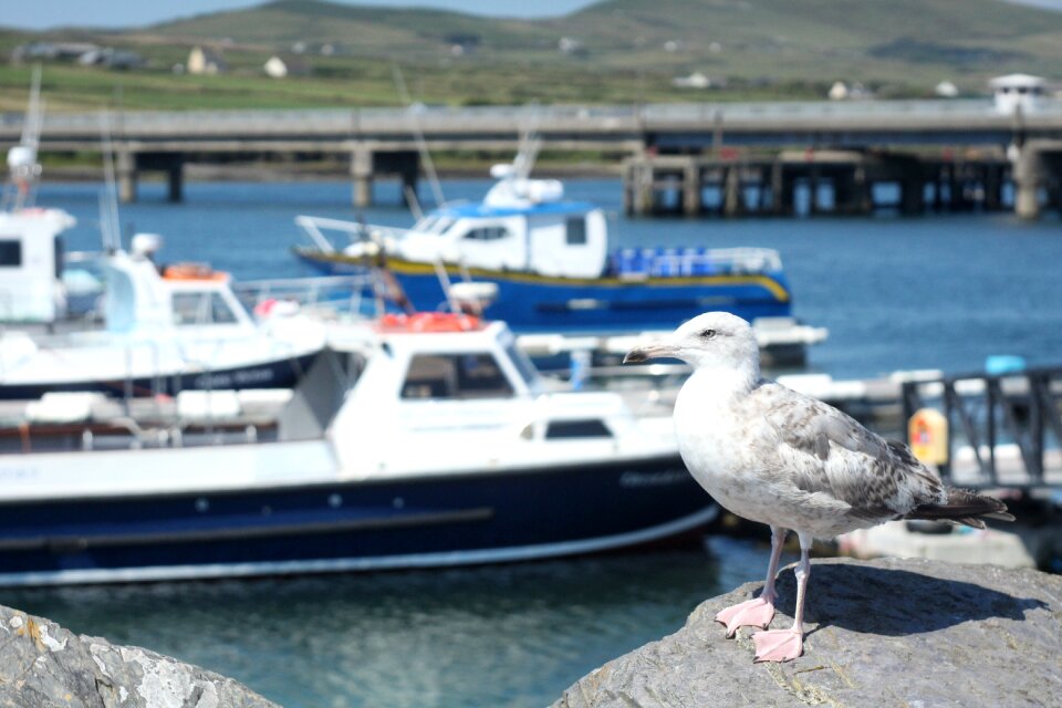 Ireland atlantic water