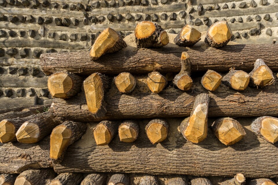 Wood clay construction art