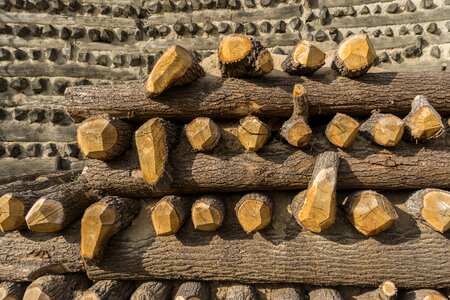 Wood clay construction art