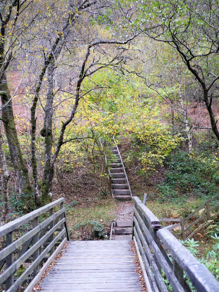 Staircase outdoors stairs