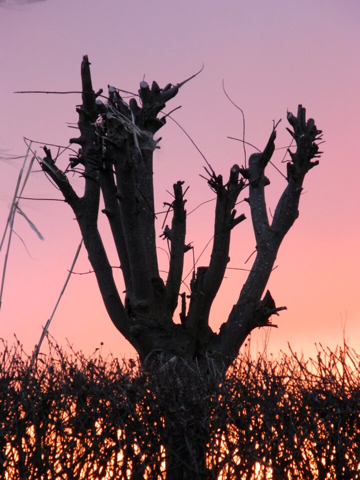 Dusk afterglow atmosphere