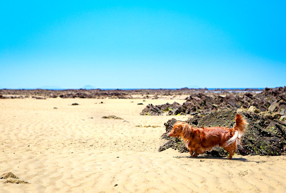 Adorable summer beach