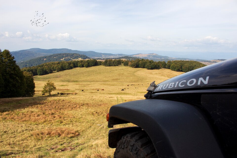 Wrangler off road robust