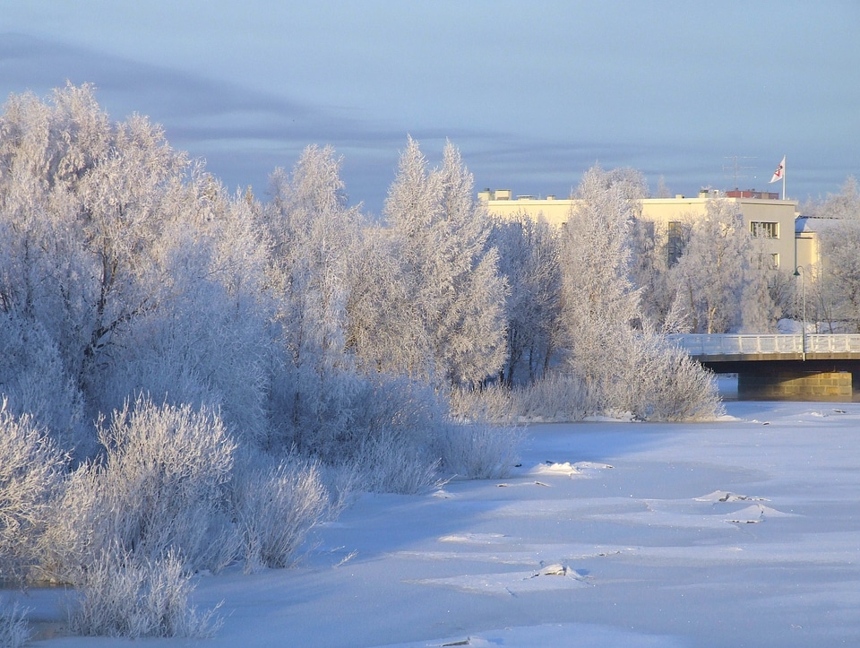 Snow ice frost photo