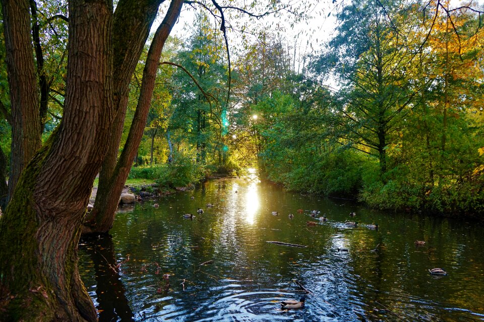 Anmelden see sonnenlicht