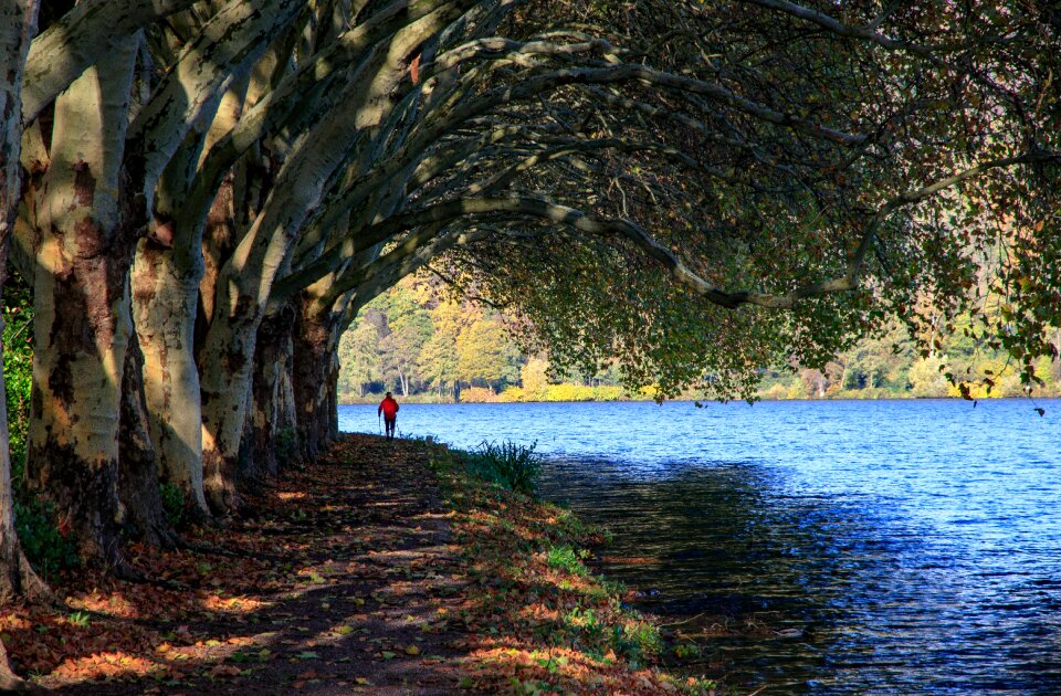 Nature water landscape