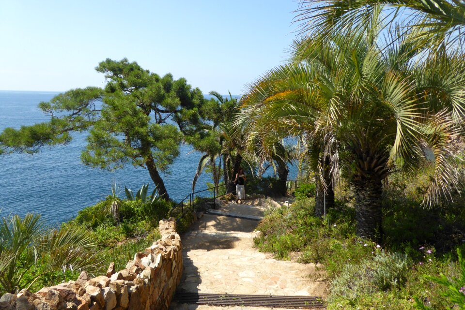 Spain garden landscape