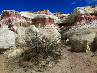 Hiking nature scenic