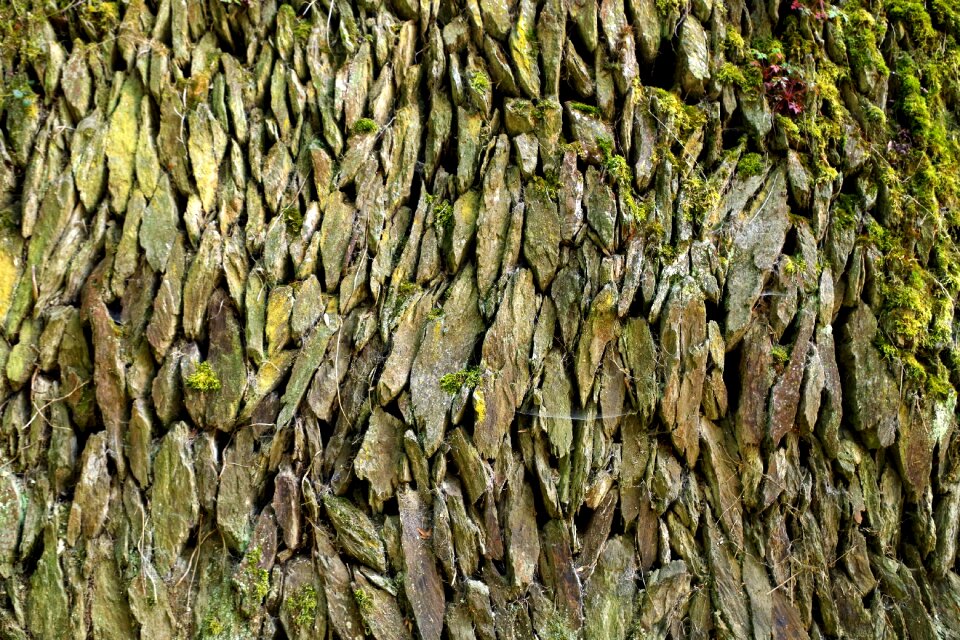 Background geology schroff