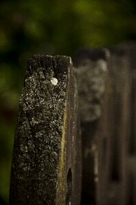 Background surface pattern