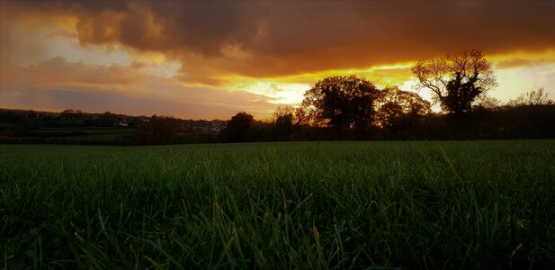 Sunset yellow evening photo