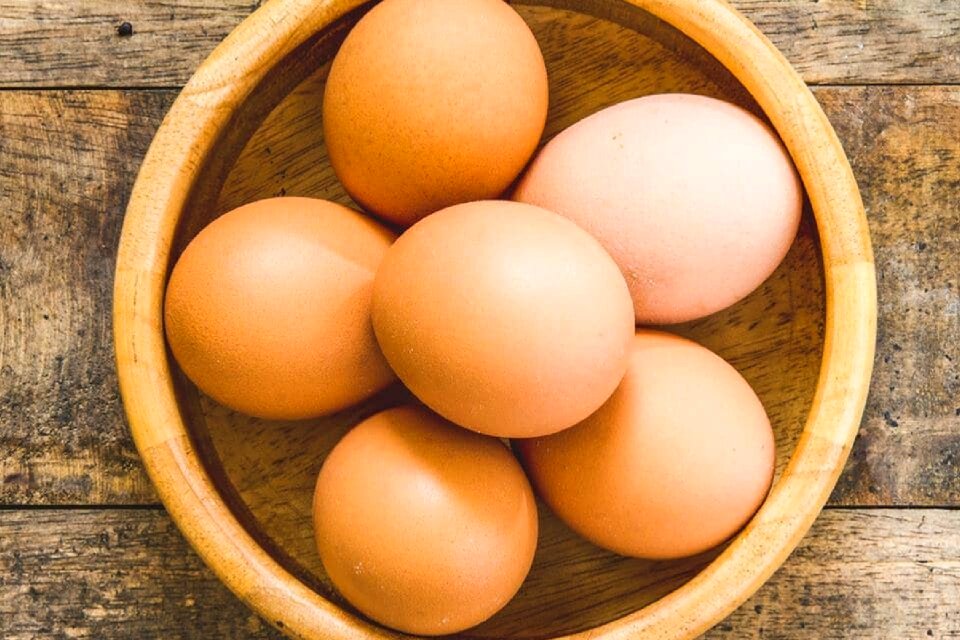 Food proteins chicks