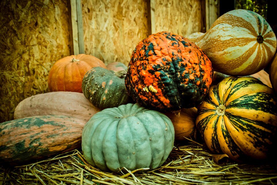 Halloween decoration vegetables