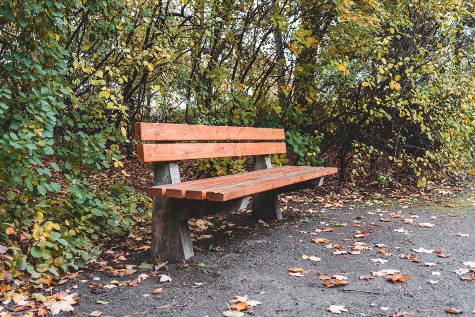 Sit autumn nature