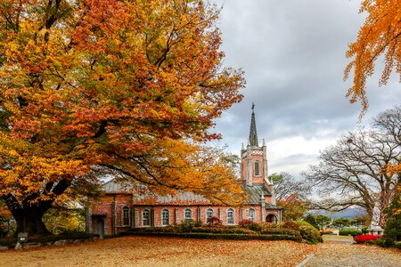 Offensive and cathedral autumn