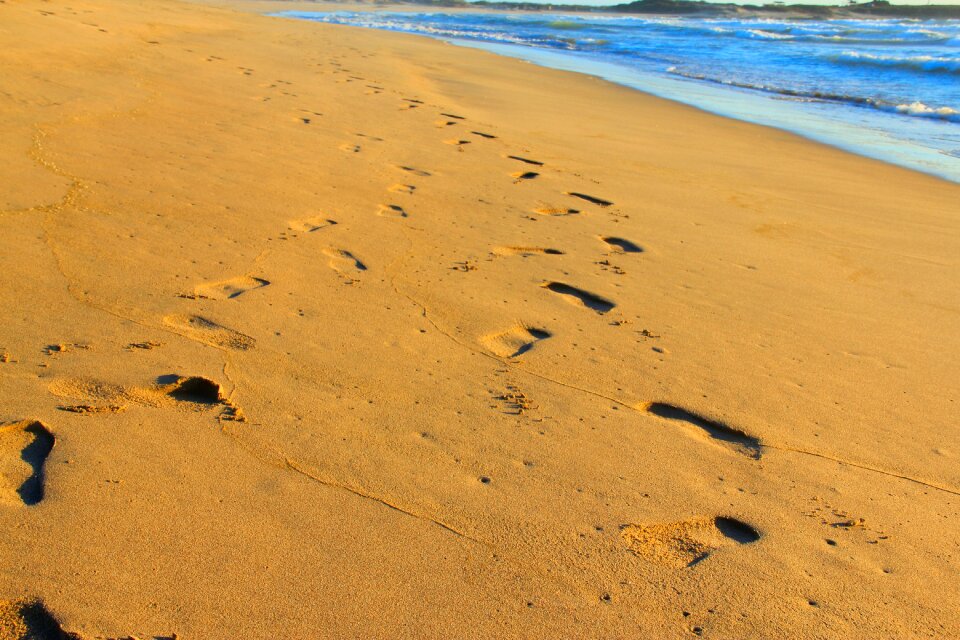 Jalisco sand beach photo