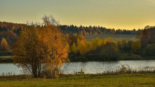 Lake evening picturesque