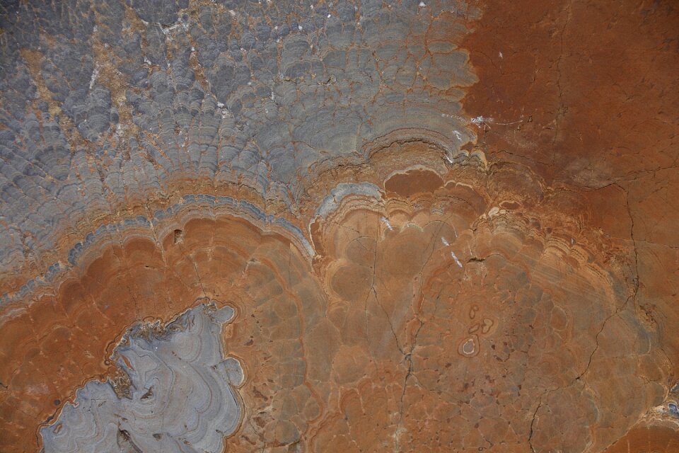 Silicate storage fossil old