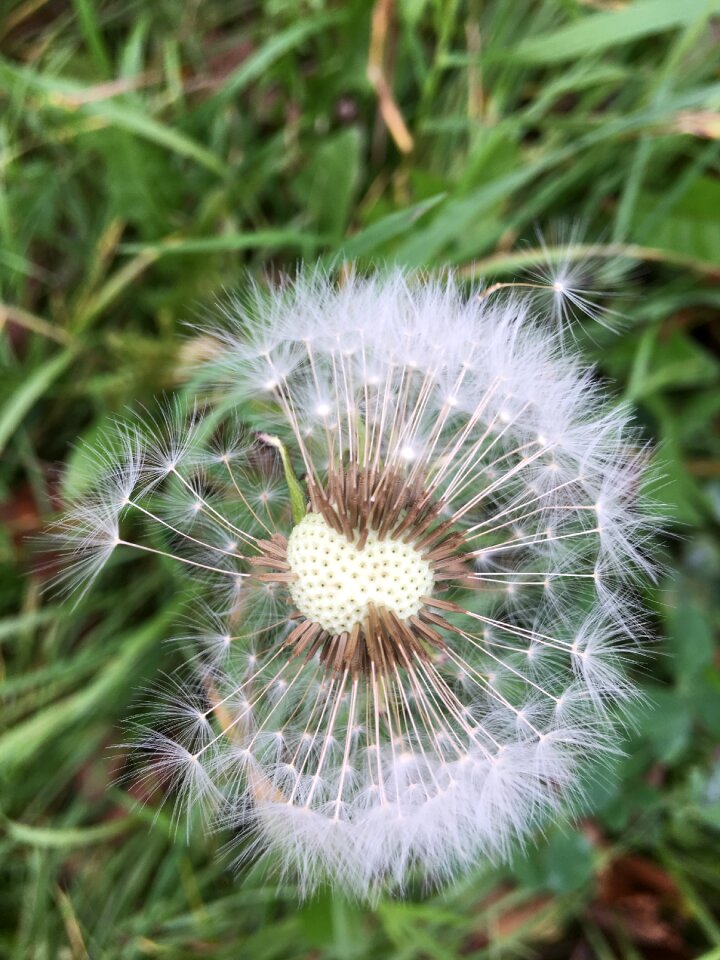 Nature closeup landscapes