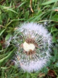 Nature closeup landscapes