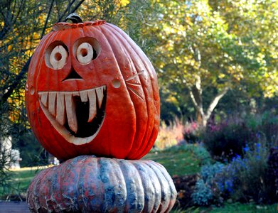 Pumpkin sculpture art