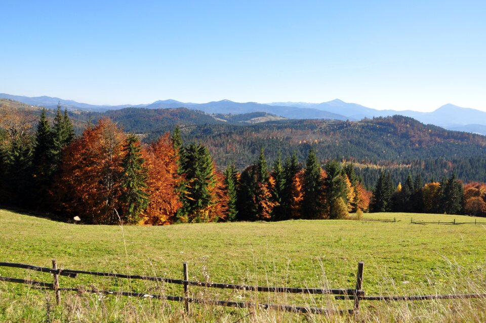 Field the carpathians landscape