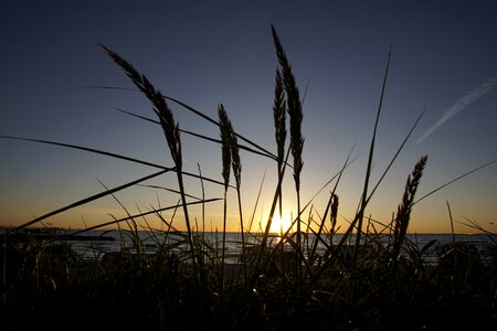 Summer beach sky